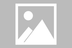 疫情韵达重庆/重庆疫情 快递
